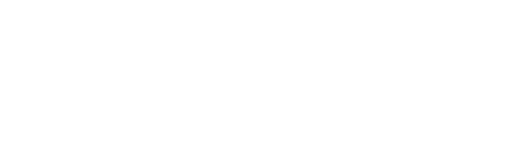 Beelog